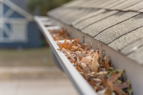 Leaf Barrier Installation in Royal Oak